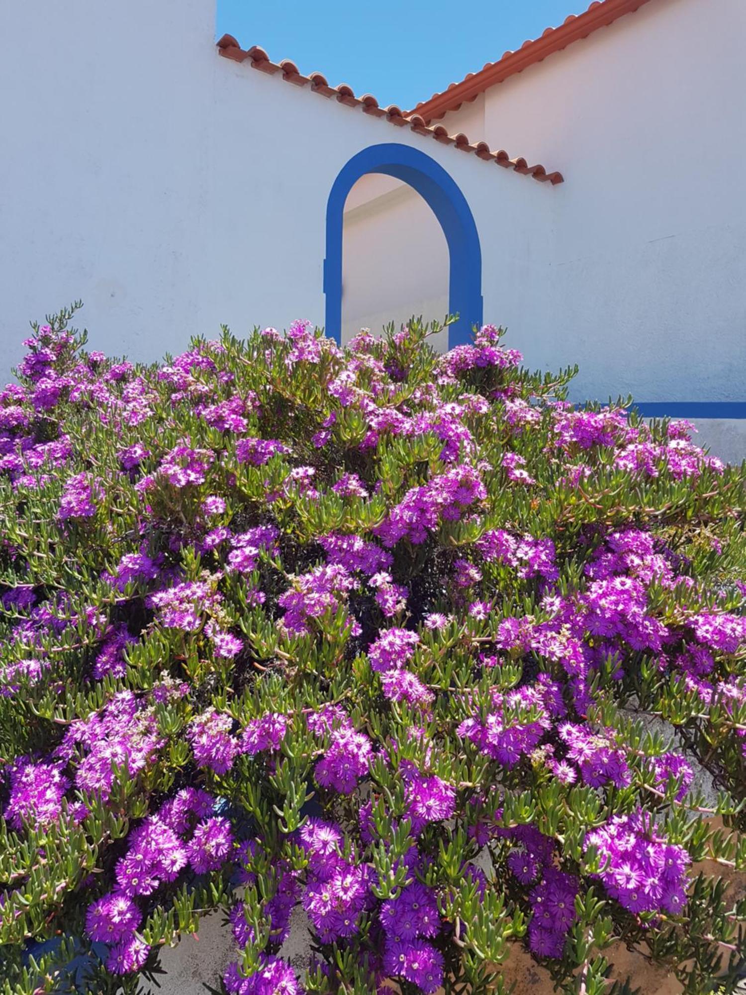 Casa Luciana Ferienhaus Ponta do Pargo